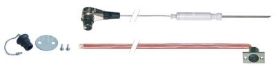 Core temperature probe Pt100 cable PTFE probe -40 up to +250°C c