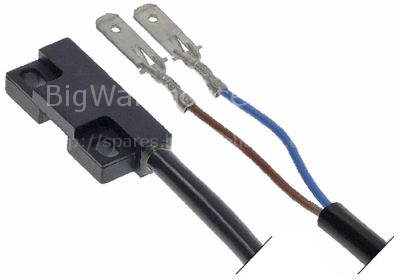 Magnetic switch L 37mm W 16mm 250V 0,04A connection male faston