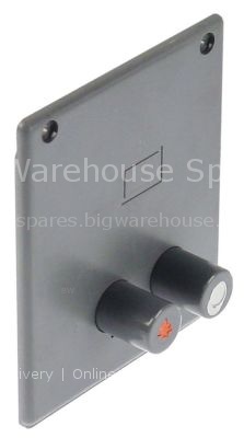 Control element suitable for ELETTROSIT