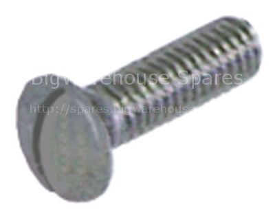 Raised countersunk head screw thread M6 thread L 13mm SS DIN 966