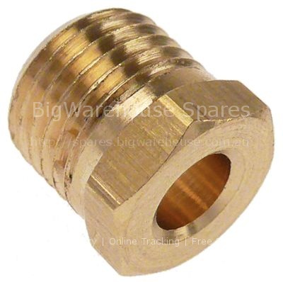 Screw connection thread M10x1 for ignition electrode brass Qty 1