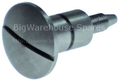 Screw for glass plate equiv. no. 3106050