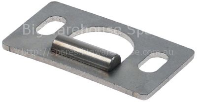 Fixing plate for door W 30mm L 50mm
