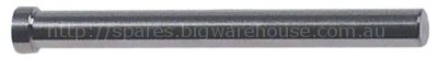 Hinge bolt