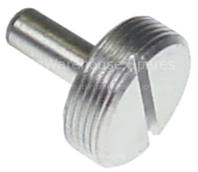 Pressure screw for door hinge
