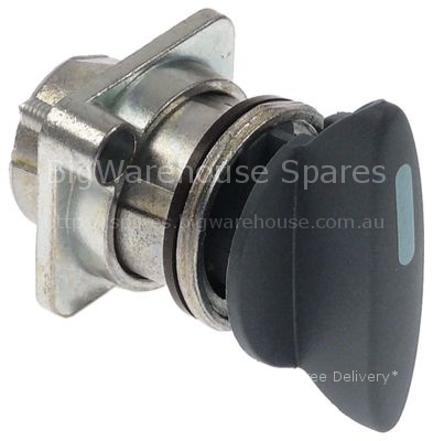Knob switch zero mark ø 29mm black shaft special