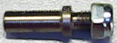 Door pin