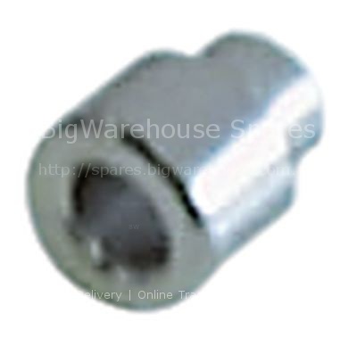 Bush for door hinge