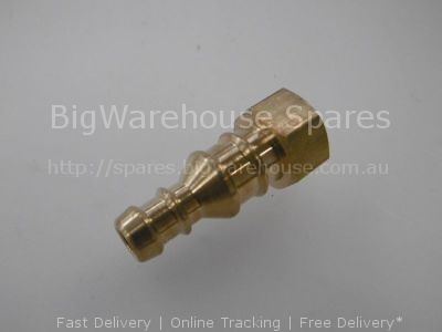 Hose tail PORTAGOMMA OTTONE 1/4"F