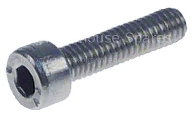 Cylinder head bolt thread M4 thread L 16mm WS 3 SS Qty 20 pcs DI