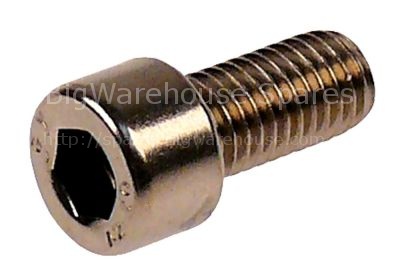 Cylinder head bolt thread M10 thread L 16mm L 30mm WS 8 SS Qty 1