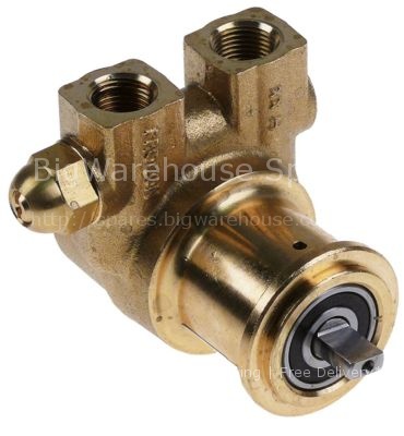 Pump head V6105 PROCON L 82mm 180l/h connection 3/8" NPT with by