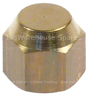 End cap thread 1/4" brass WS 16