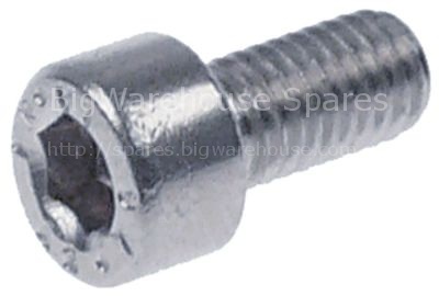 Cylinder head bolt thread M5 thread L 10mm L 15,5mm WS 4 SS Qty