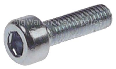 Cylinder head bolt thread M3 thread L 10mm WS 2,5 zinc-plated Qt