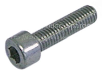 Cylinder head bolt thread M6 thread L 10mm WS 5 SS Qty 20 pcs DI