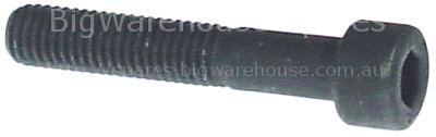 Cylinder head bolt thread M8 L 45mm thread L 30mm WS 6 zinc-coat