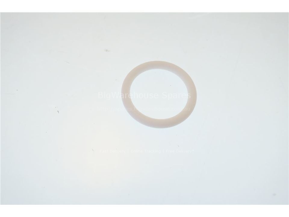 PTFE O-RING FOR PADDLE 23,4x3,53