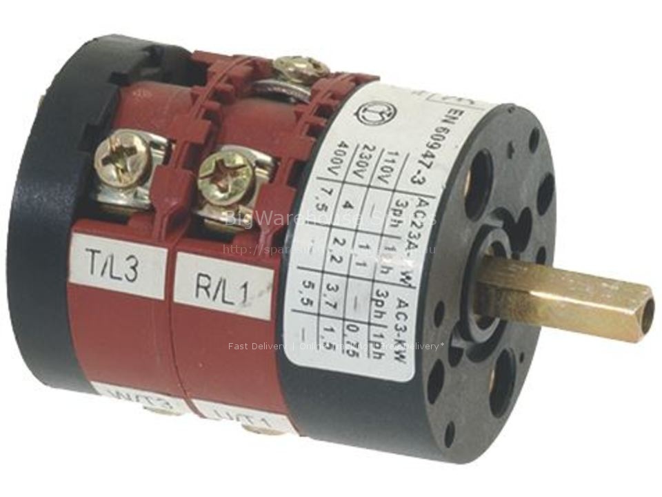 SELECTOR SWITCH 0-1 POSITIONS 16A 300V