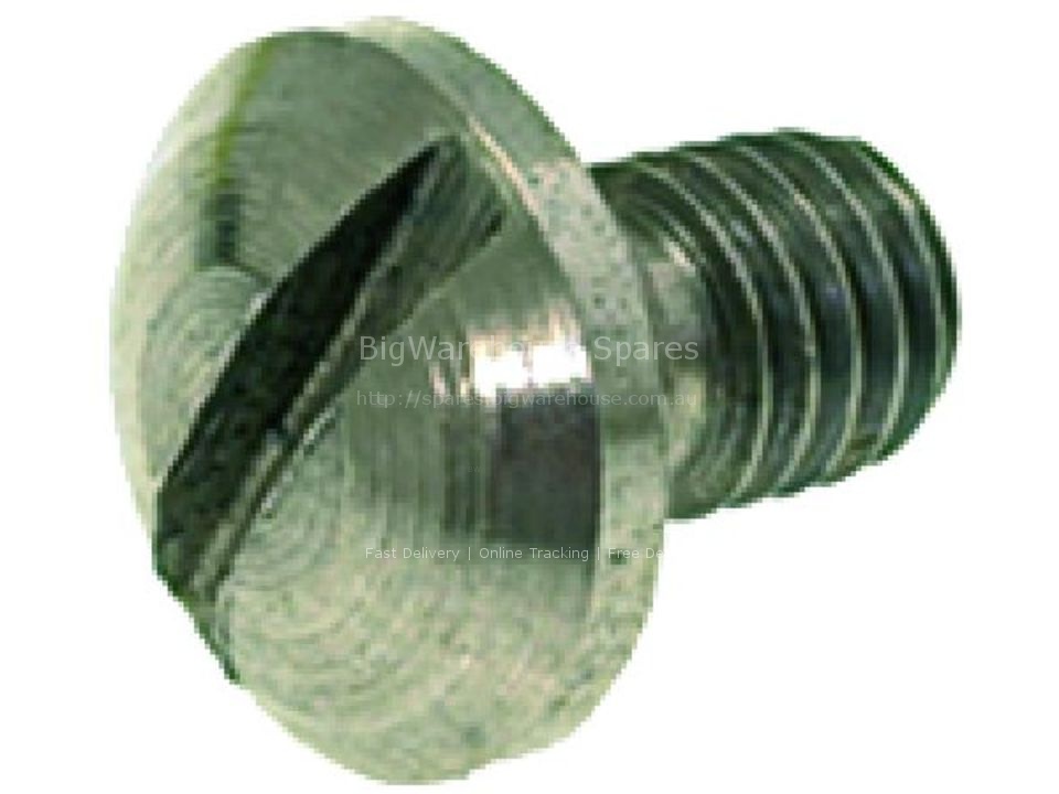 STAINLESS STEEL SCREW M5x12 mm