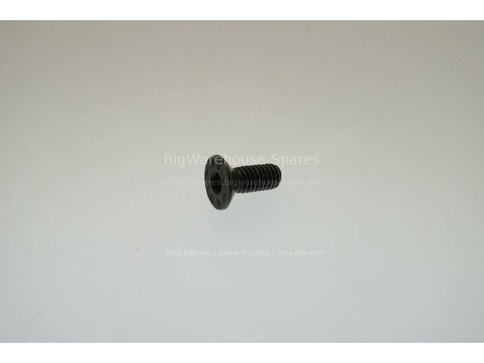 Steel zinc-plated screw 4x10 TPSCE