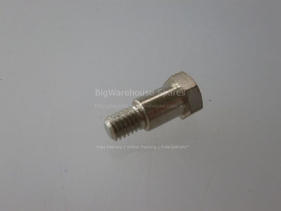 M6 SCREW WITH SPECIAL PIN ø 8 mm