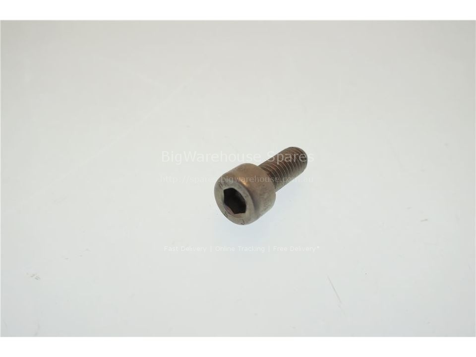 SCREW 8X20 INOX TCCE