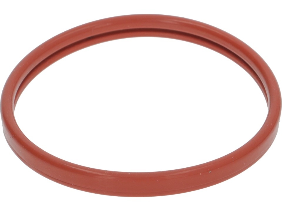 SHAPED GASKET FOR FILTER HOLDER