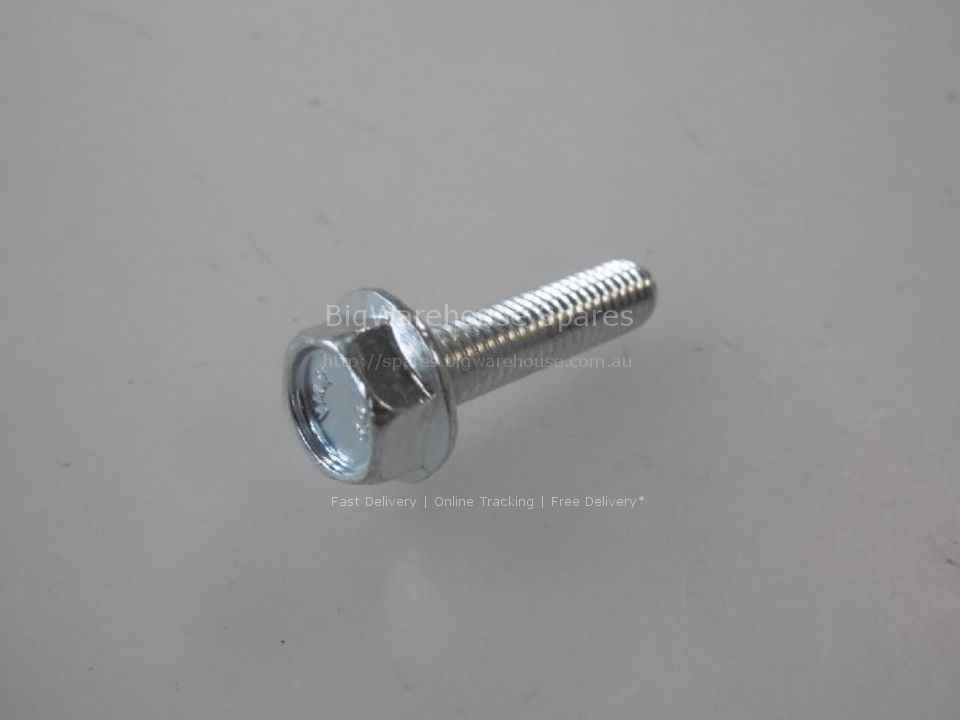 SCREW TE M6x25 mm ZINCATA