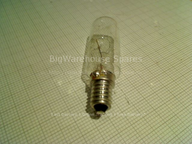 LAMP 25W 240V