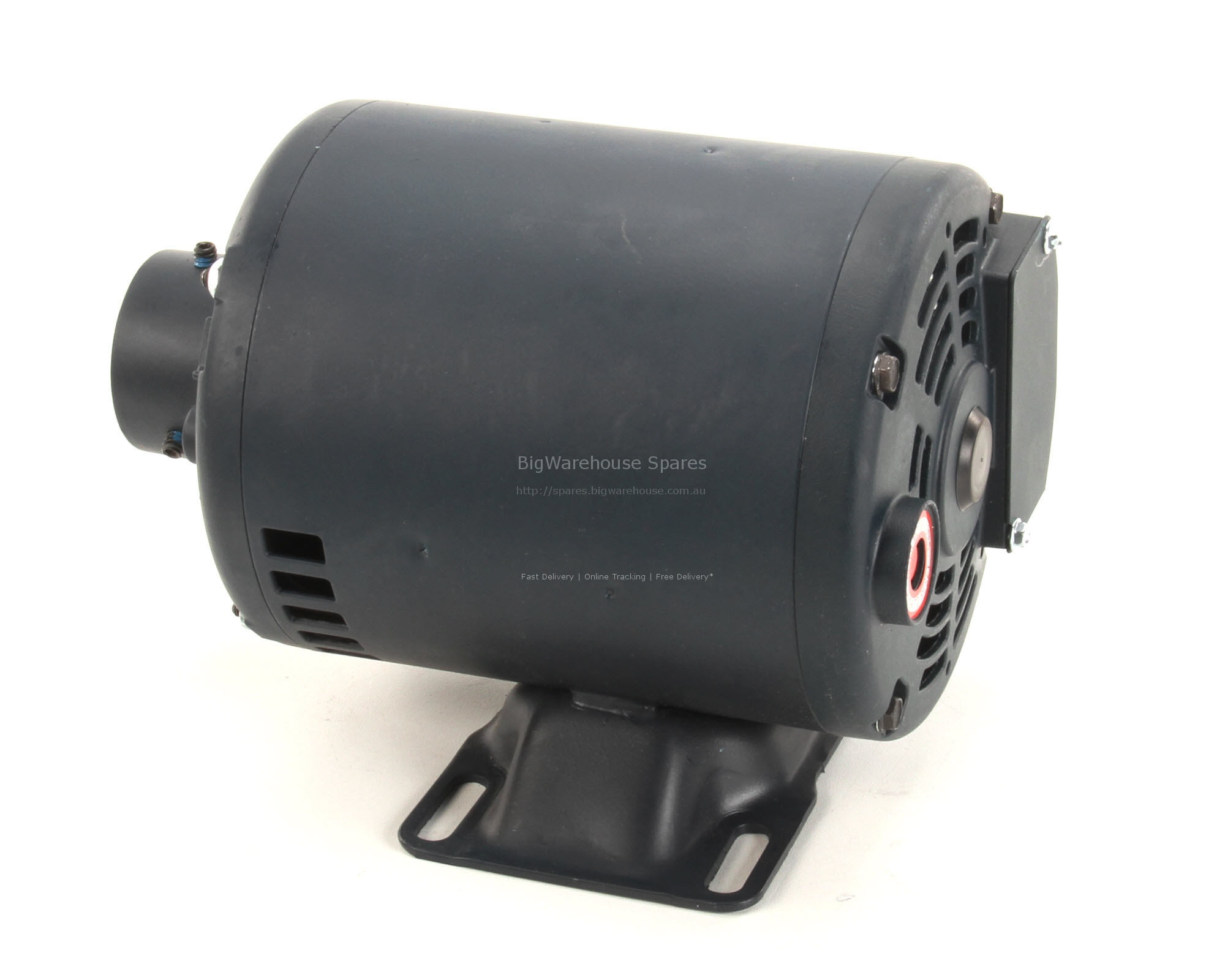 MOTOR - SG FILTER PUMP 240V