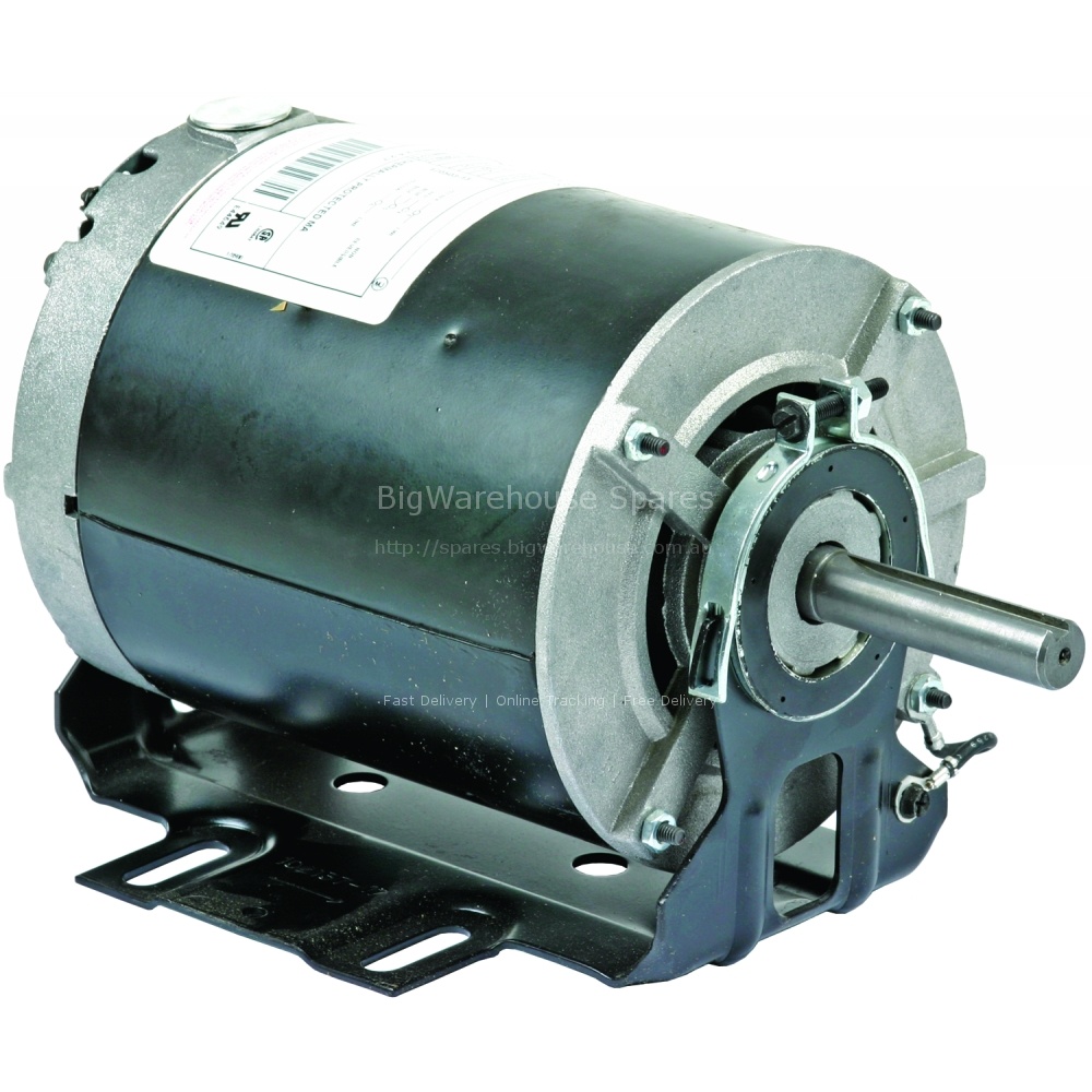 MOTOR SINGLE SPEED  FOR CTB/BCG 240V