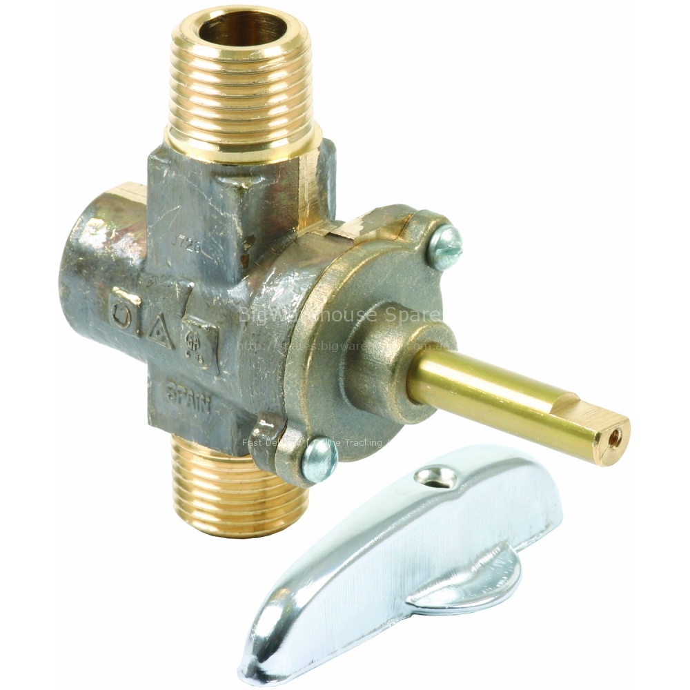 Gas Valve Assembly W/Handle