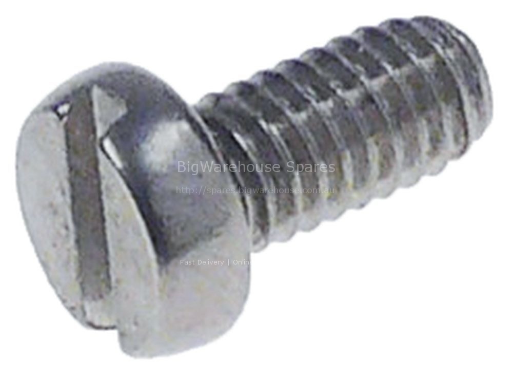 SCREW ? 4x8 mm SLOTTED HEAD