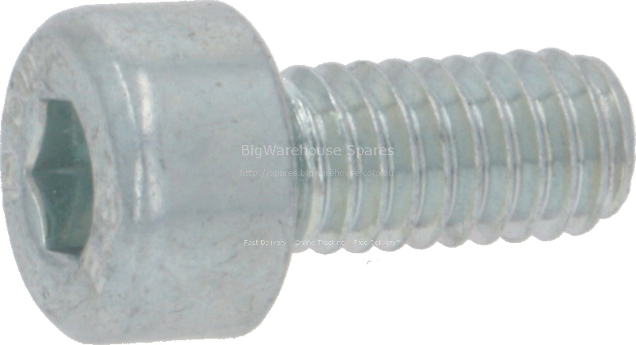 GRAPE SCREW M4X8 GALVANISED