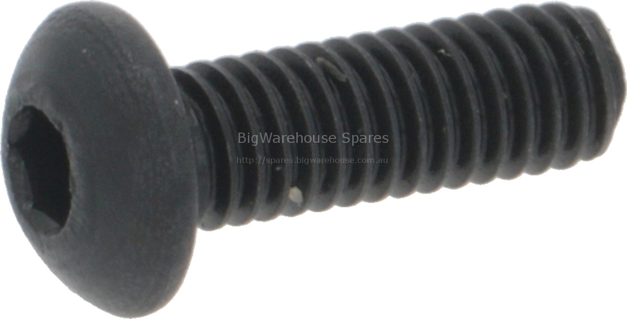 SCREW M4X12TBCEI ISO7380 BLACK