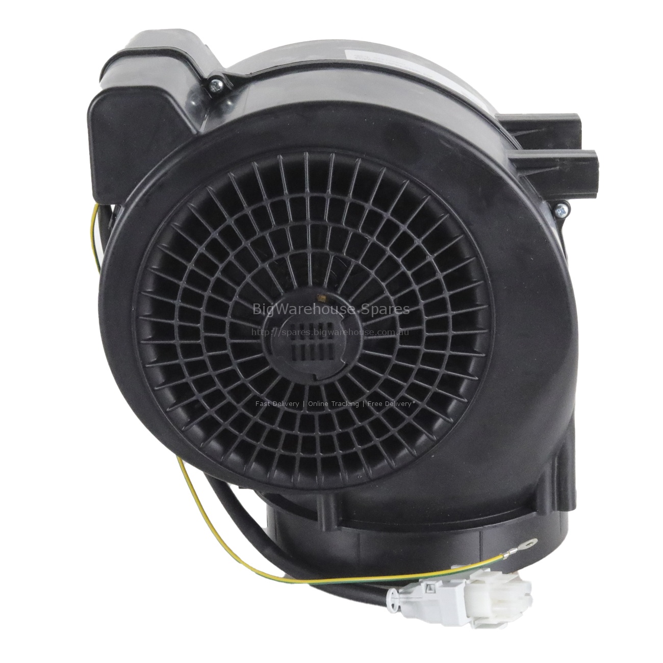 Motor Assembly