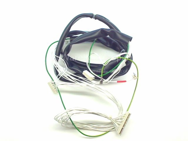 FISHER PAYKEL DISHWASHER DD603 CHASSIS HARNESS (UPPER